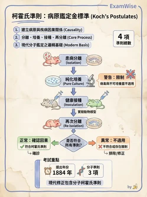 營養 - 食源性病原微生物 - AI 圖文解析預覽