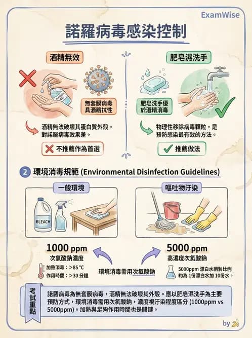 營養 - 食源性病原微生物 - AI 圖文解析預覽