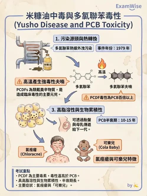 營養 - 化學性危害 - AI 圖文解析預覽