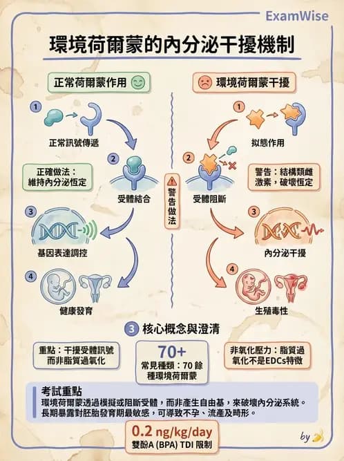 營養 - 化學性危害 - AI 圖文解析預覽
