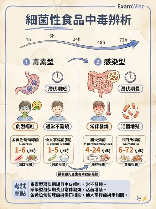 營養 - 食源性病原微生物 - AI 圖文解析預覽