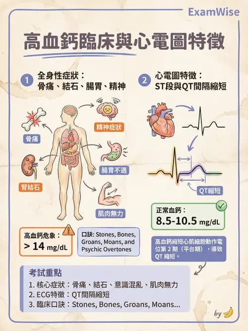 專師 - 鈣磷鎂異常 - AI 圖文解析預覽