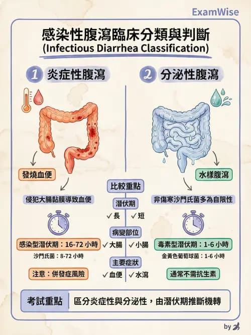 專師 - 腸胃道感染 - AI 圖文解析預覽