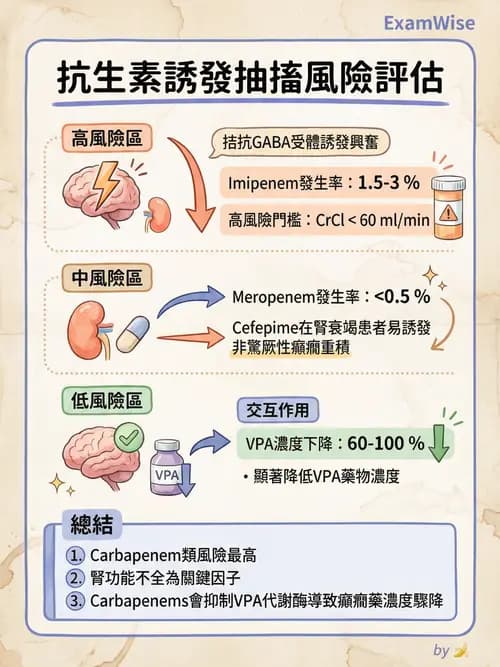 專師 - 抗生素藥理 - AI 圖文解析預覽