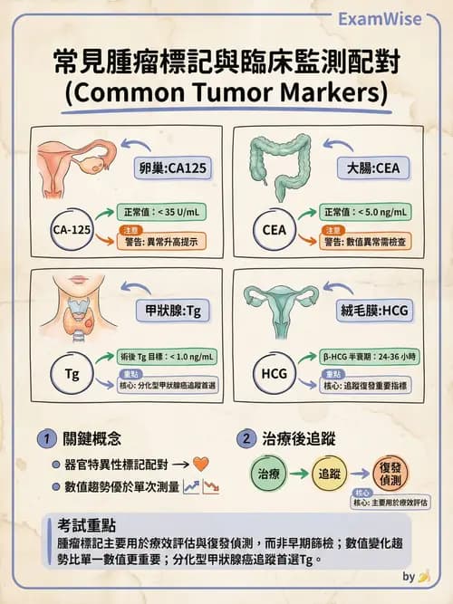 專師 - 腫瘤診斷與分期 - AI 圖文解析預覽