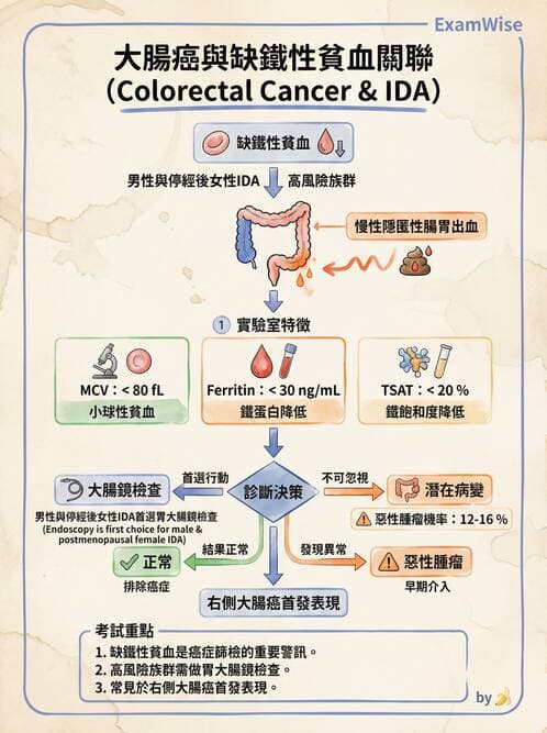 專師 - 血液疾病 - AI 圖文解析預覽