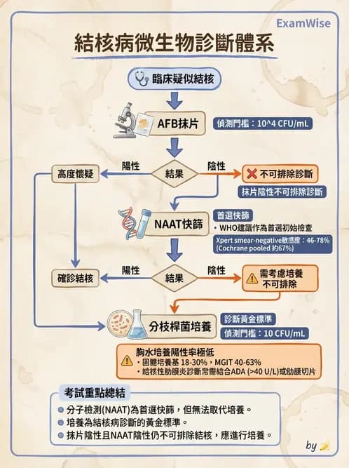 專師 - 結核病 - AI 圖文解析預覽