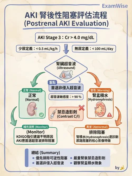 專師 - 急性腎損傷 - AI 圖文解析預覽