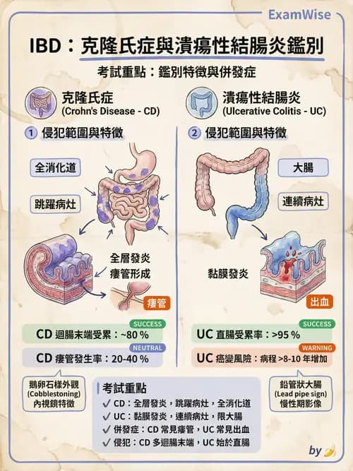 專師 - 腸道疾病與肛門直腸 - AI 圖文解析預覽