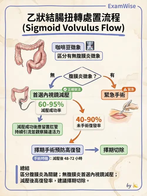 專師 - 腹部評估與急腹症 - AI 圖文解析預覽