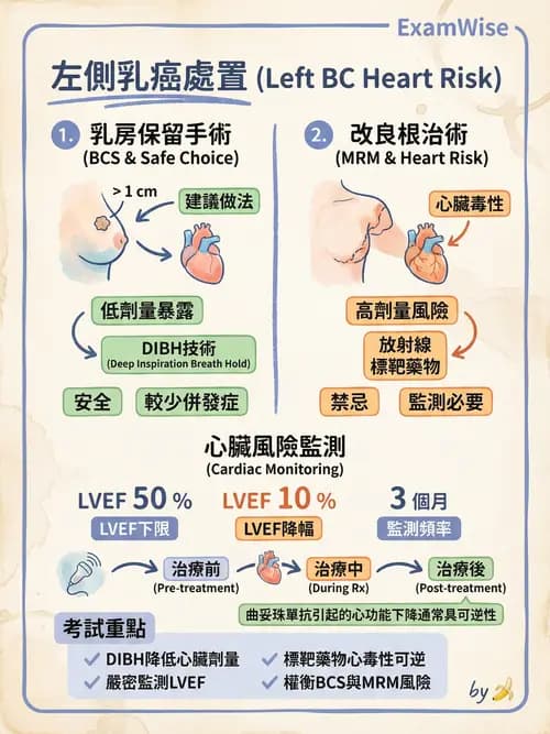 專師 - 乳癌與婦癌 - AI 圖文解析預覽