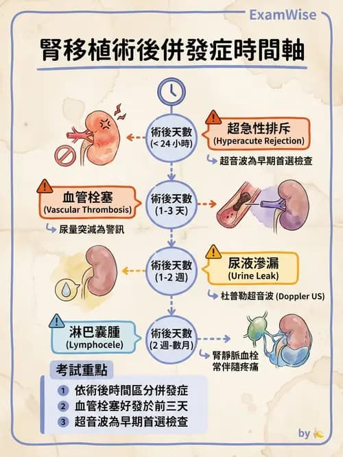專師 - 腎臟移植 - AI 圖文解析預覽