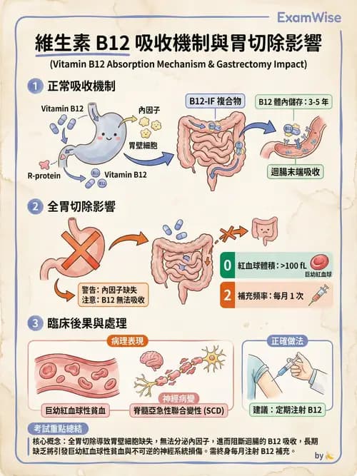 專師 - 營養學 - AI 圖文解析預覽