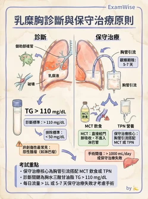 專師 - 肋膜疾病 - AI 圖文解析預覽
