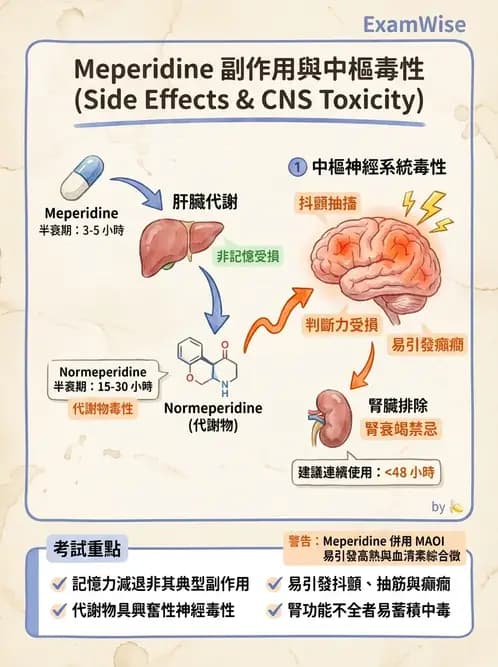 專師 - 術後疼痛控制 - AI 圖文解析預覽