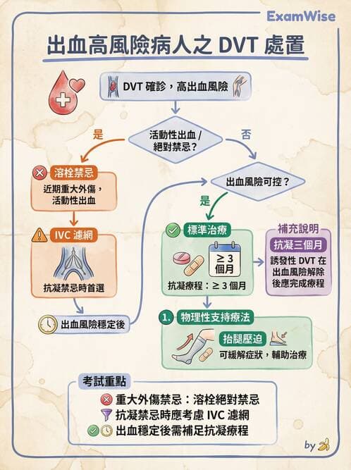 專師 - 周邊血管與靜脈疾病 - AI 圖文解析預覽