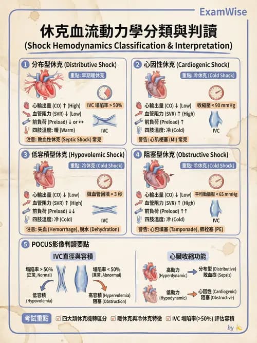 專師 - 休克分類與血行動力學 - AI 圖文解析預覽