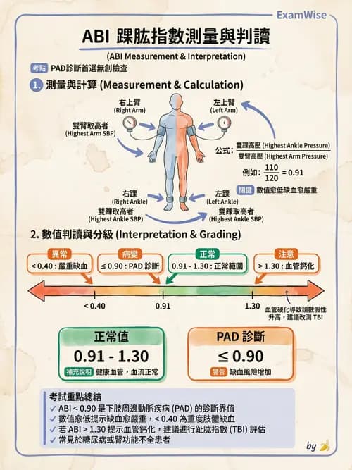 專師 - 周邊血管與靜脈疾病 - AI 圖文解析預覽