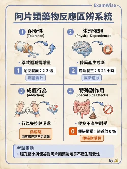 專師 - 術後疼痛控制 - AI 圖文解析預覽