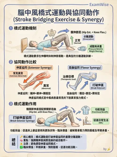 物治 - 腦中風姿勢控制平衡與轉位 - AI 圖文解析預覽