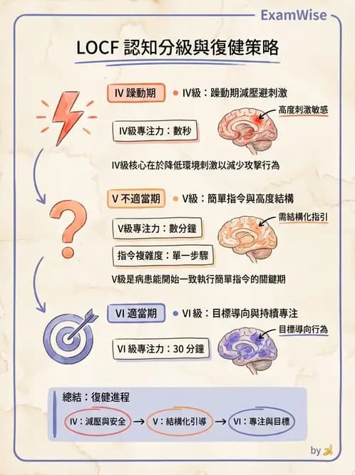 物治 - TBI LOCF分級與復健 - AI 圖文解析預覽