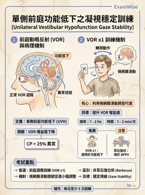 物治 - 前庭系統與前庭復健 - AI 圖文解析預覽