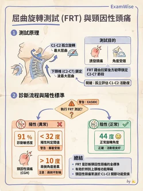 物治 - 頸椎評估與病理 - AI 圖文解析預覽