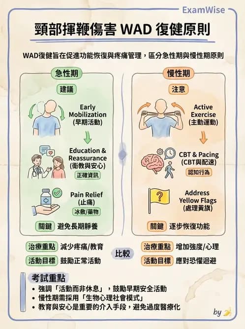 物治 - 頸椎評估與病理 - AI 圖文解析預覽