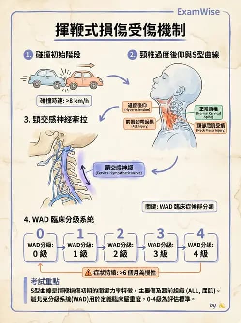 物治 - 頸椎評估與病理 - AI 圖文解析預覽