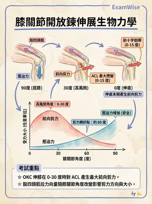 物治 - 膝關節生物力學與退化性疾病 - AI 圖文解析預覽