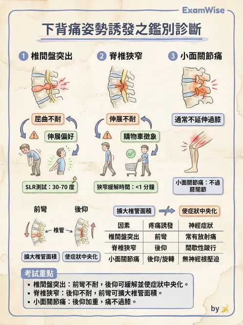 物治 - 腰椎椎間盤與脊椎狹窄 - AI 圖文解析預覽