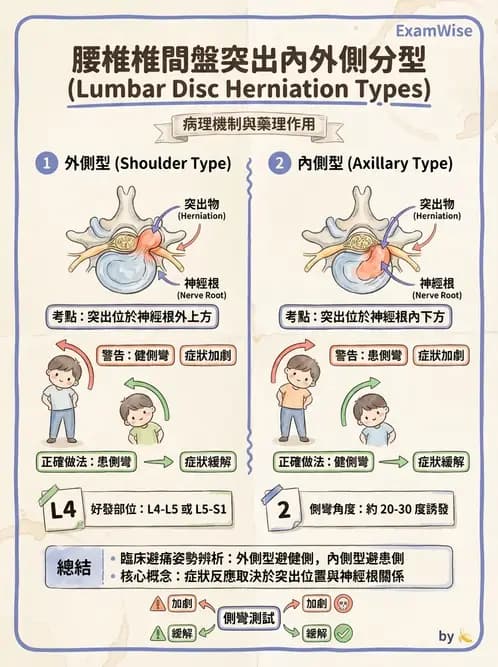 物治 - 腰椎椎間盤與脊椎狹窄 - AI 圖文解析預覽