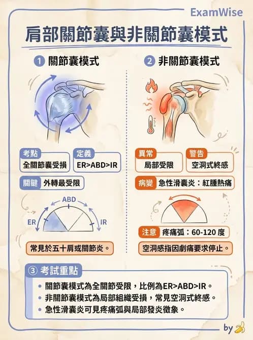 物治 - 肩關節夾擠與旋轉肌袖 - AI 圖文解析預覽