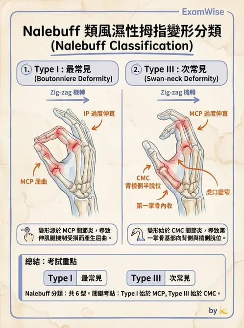 物治 - 手部肌腱損傷與變形 - AI 圖文解析預覽