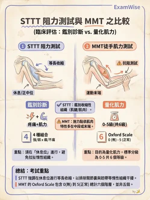 物治 - 初級照護與鑑別診斷 - AI 圖文解析預覽