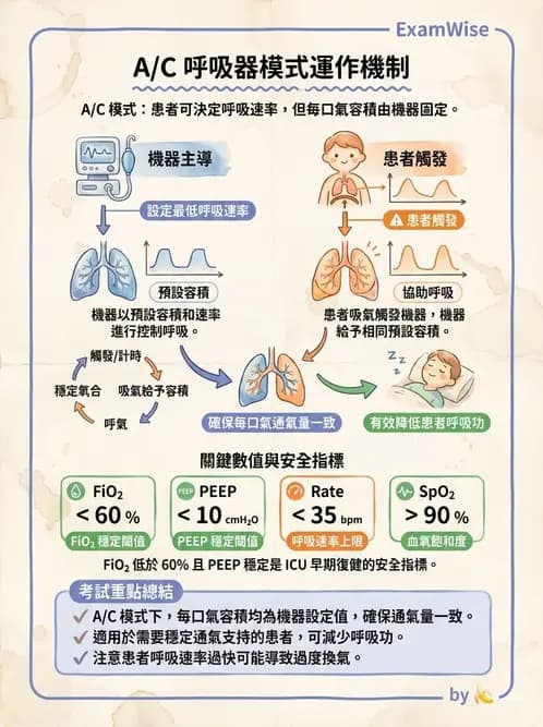 物治 - 胸腔手術、肺移植與呼吸器 - AI 圖文解析預覽