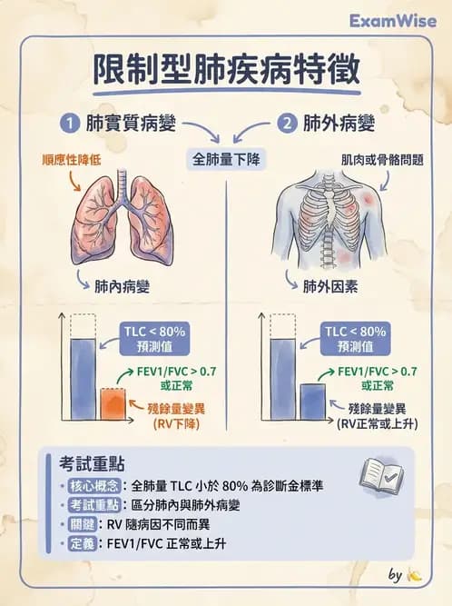 物治 - 肺功能測試與血氣體分析 - AI 圖文解析預覽