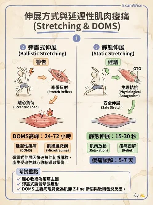 物治 - 運動篩檢與處方設計 - AI 圖文解析預覽