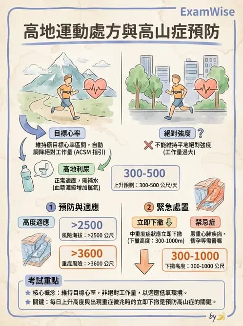 物治 - 特殊族群運動處方與健康促進 - AI 圖文解析預覽
