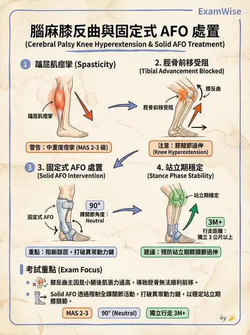物治 - 腦性麻痺介入、手術與輔具 - AI 圖文解析預覽