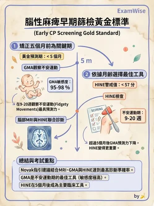 物治 - 新生兒與嬰兒發展評估 - AI 圖文解析預覽