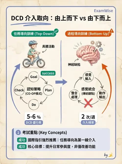 物治 - DCD、ADHD與行為介入 - AI 圖文解析預覽