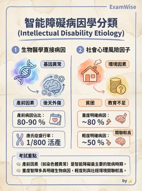 物治 - 智能障礙與基因症候群 - AI 圖文解析預覽