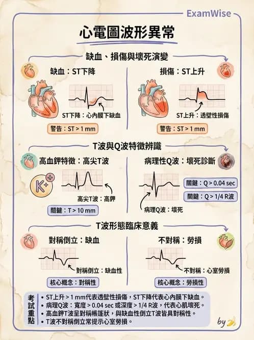 物治 - 心電圖判讀 - AI 圖文解析預覽