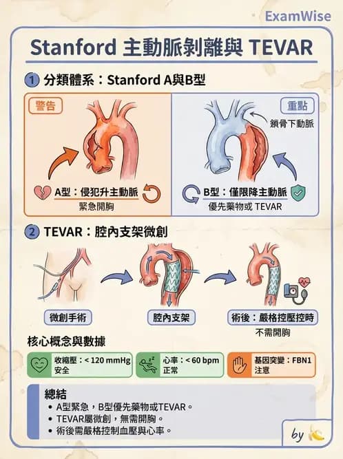 物治 - 冠狀動脈疾病與心臟手術 - AI 圖文解析預覽