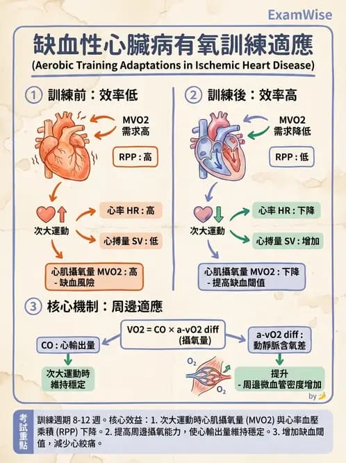 物治 - 心臟復健與運動處方 - AI 圖文解析預覽