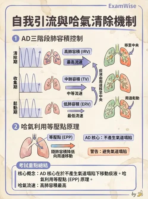 物治 - 氣道廓清與呼吸訓練技術 - AI 圖文解析預覽