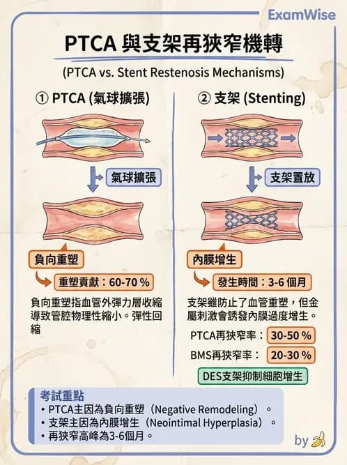 物治 - 冠狀動脈疾病與心臟手術 - AI 圖文解析預覽