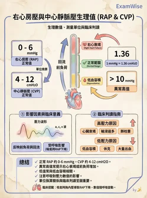 物治 - 心臟血管生理 - AI 圖文解析預覽