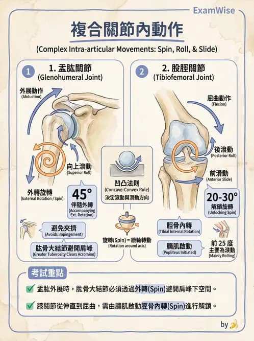 物治 - 關節運動學與生物力學計算 - AI 圖文解析預覽